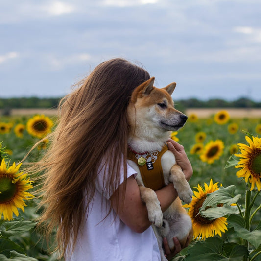 young woman holding her dog in a field