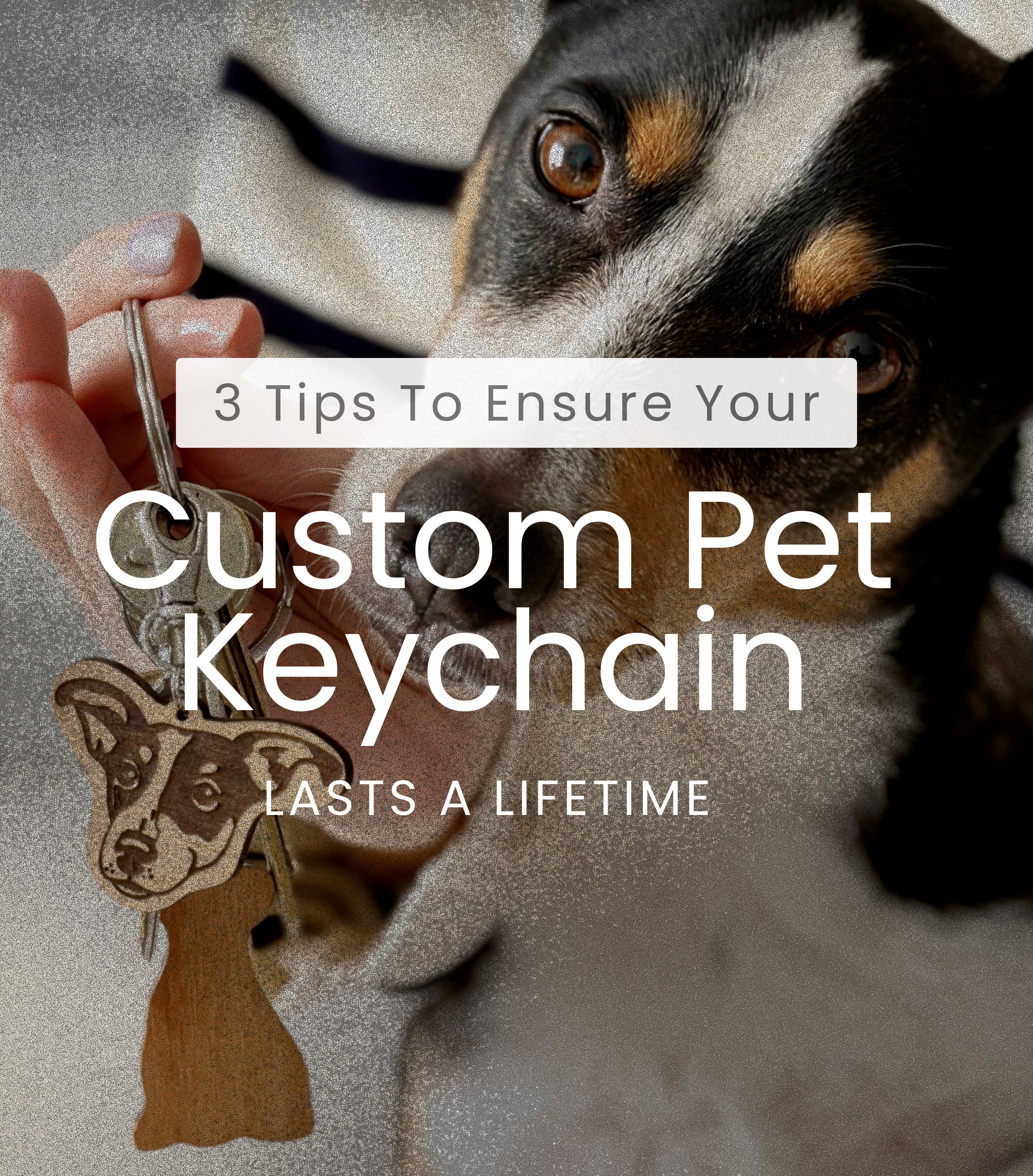 3 Tips to ensure your custom pet keychain accessories last for a lifetime