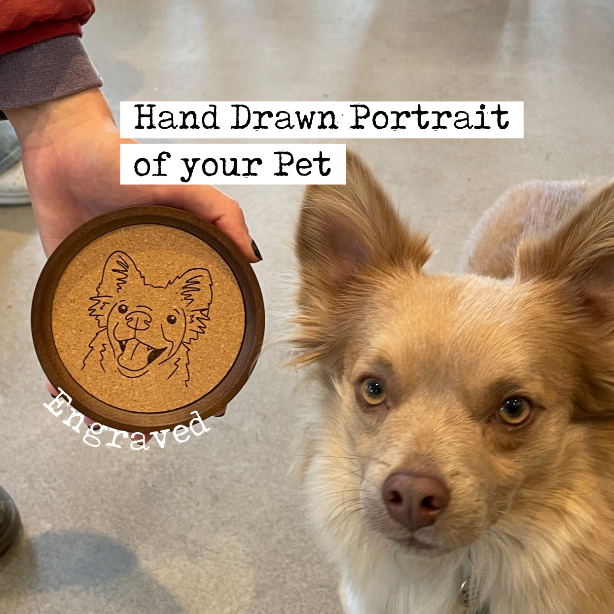 Pet Portrait Coasters