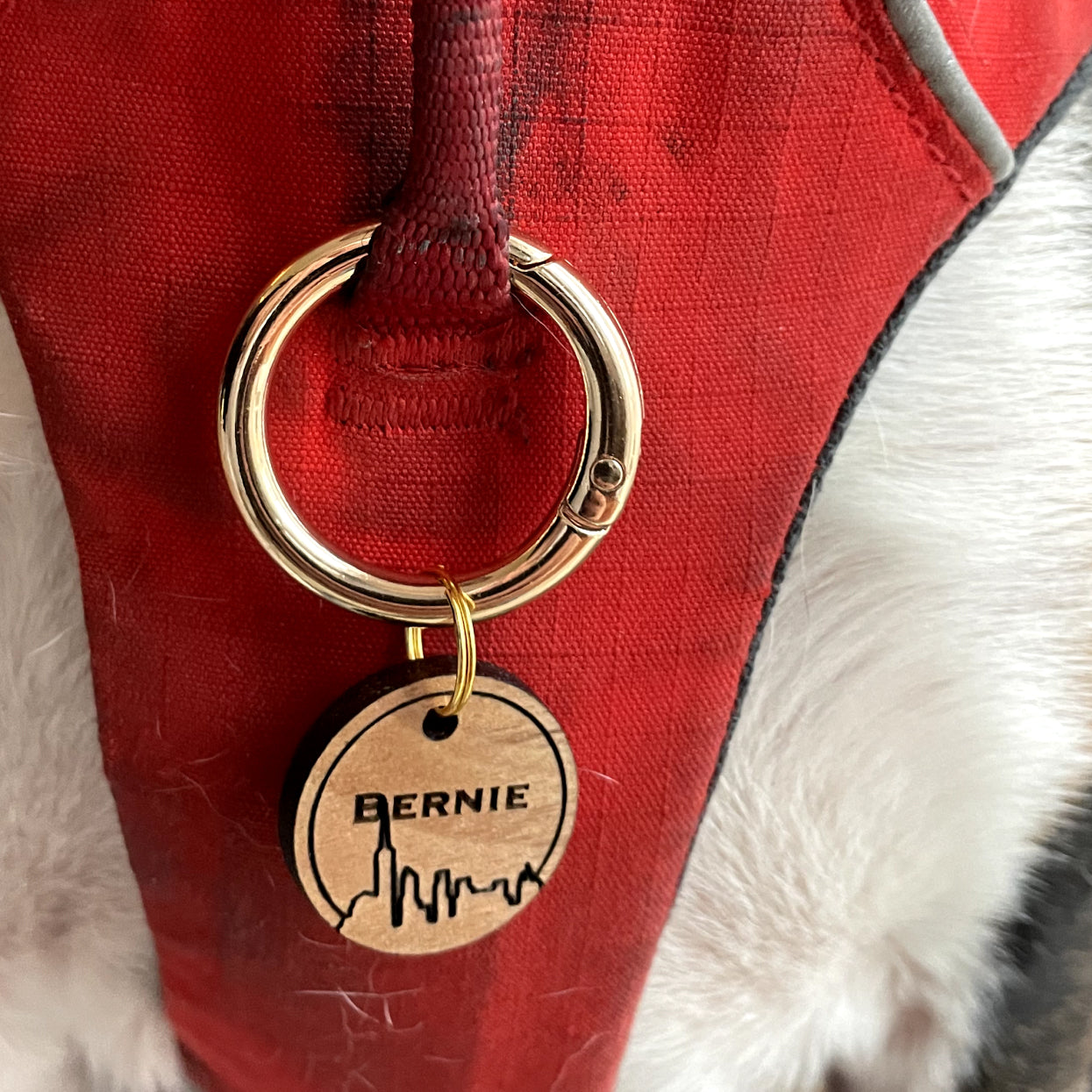 dog wearing wooden pet tag