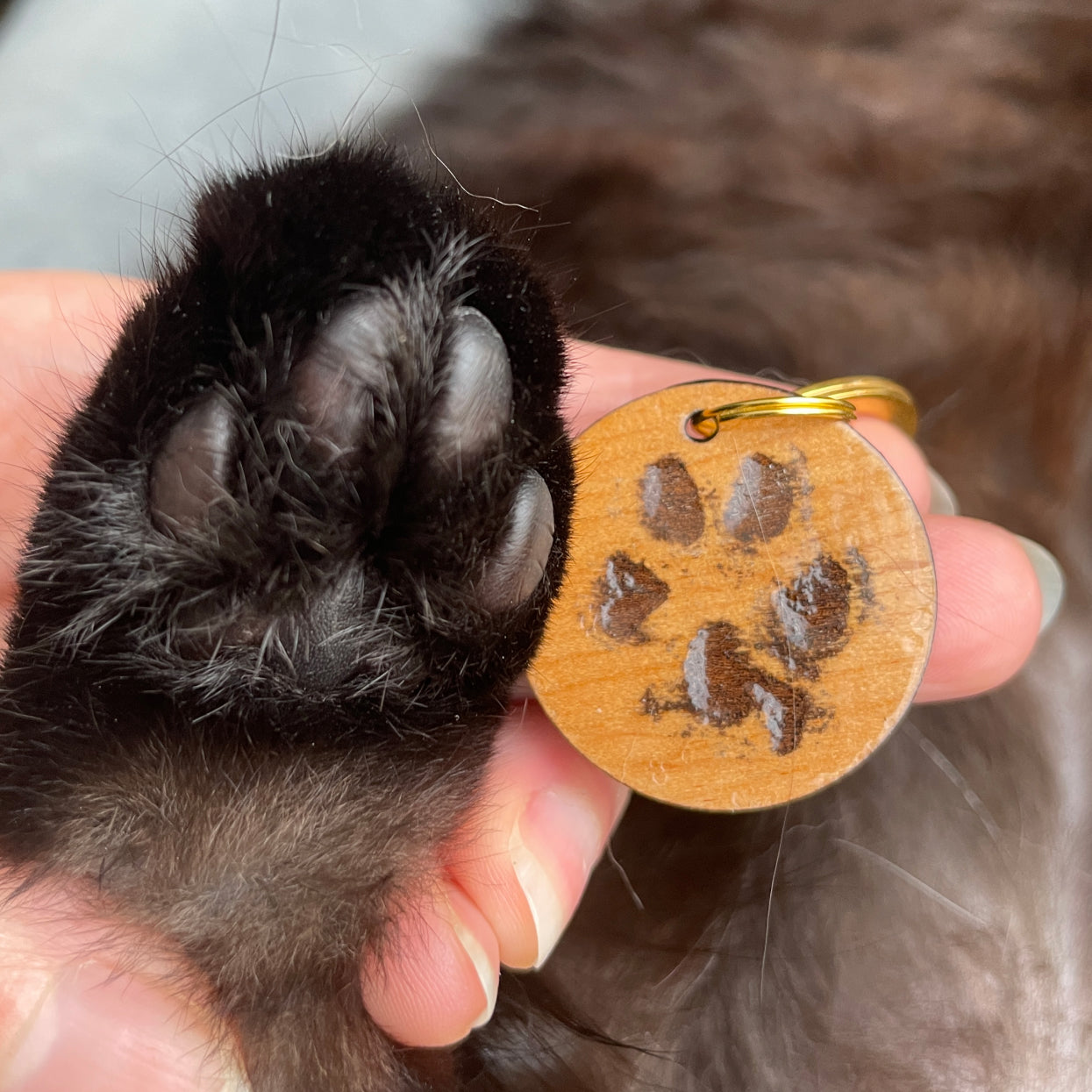 Personalized Pet Paw Print Keychain