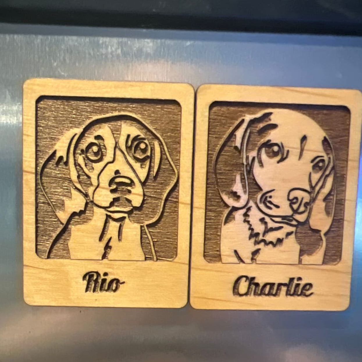 Custom Pet Portrait Magnet