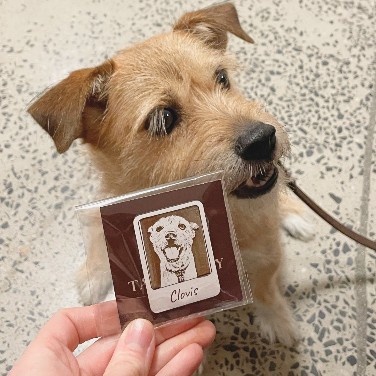 Custom Pet Portrait Magnet